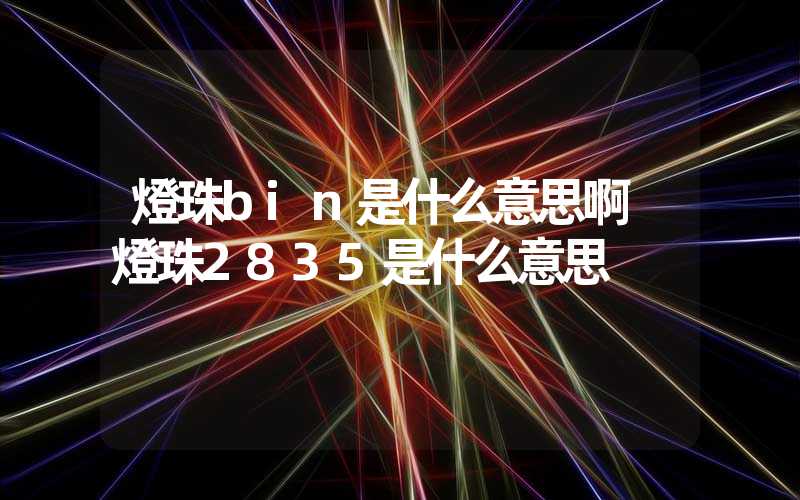 燈珠bin是什么意思啊 燈珠2835是什么意思